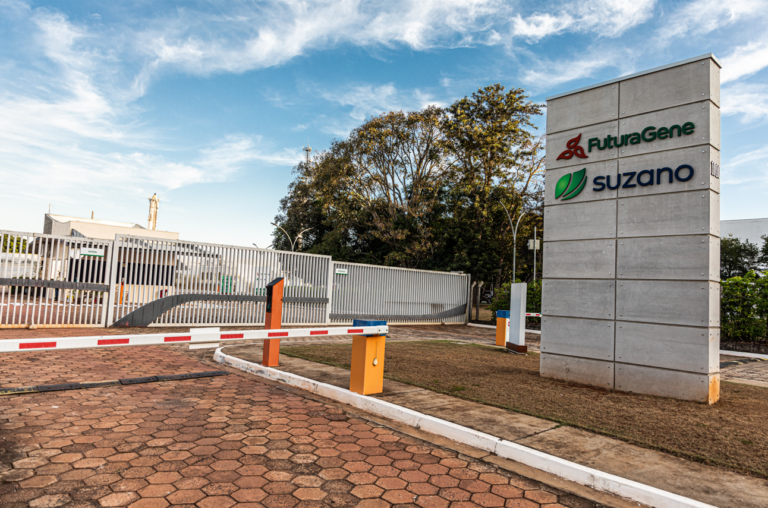 FuturaGene ottiene la prima approvazione al mondo per l’eucalipto modificato geneticamente